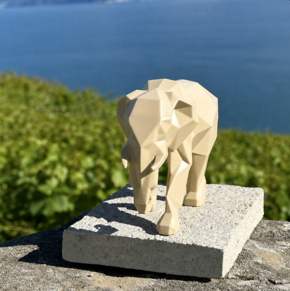 The elephant
