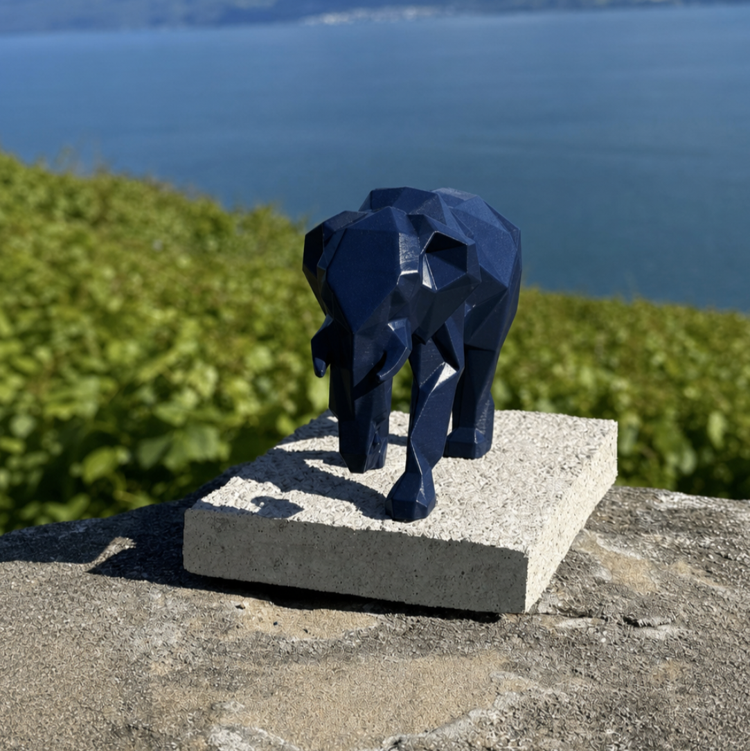 The elephant