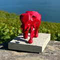 The elephant