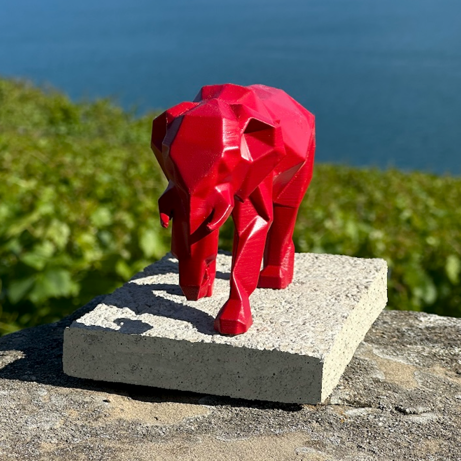 The elephant