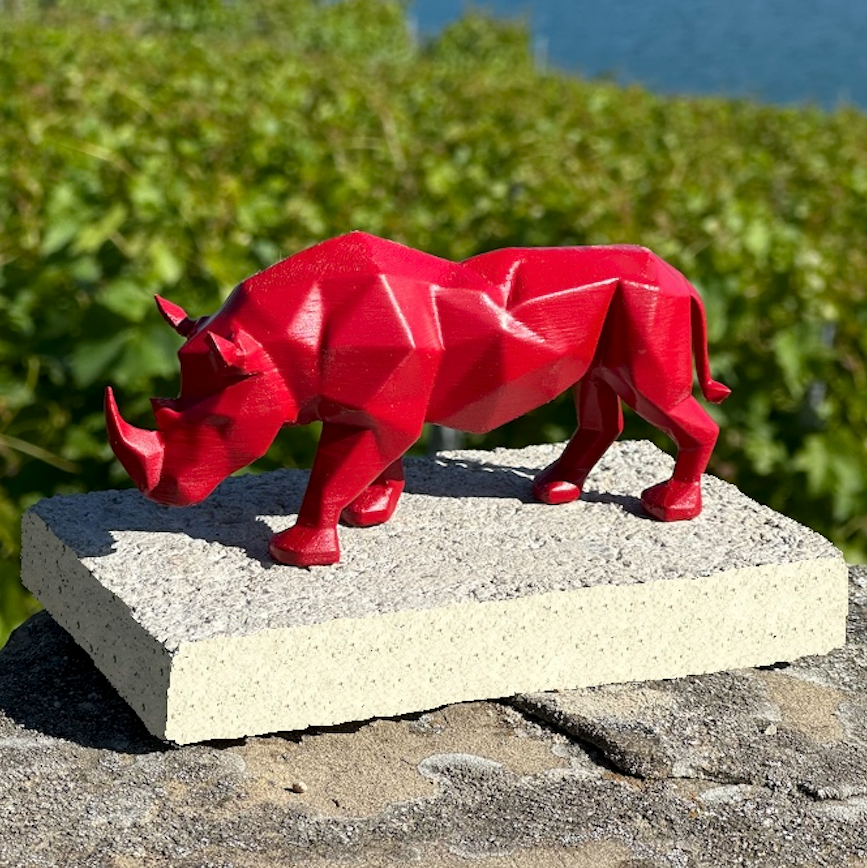 The rhino